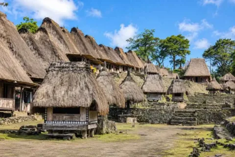Rows of traditional thatched-roof houses in Bena Village during a Flores Overland Tour to Komodo.