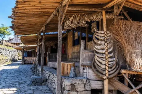 Traditional thatched-roof houses and stone structures in Bena Village, Flores.