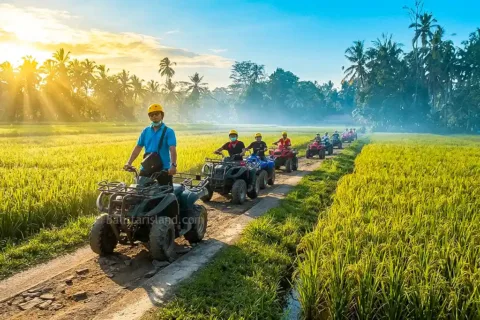 ATV rider passing green rice fields during Pertiwi Quad Bike Adventure in Bali
